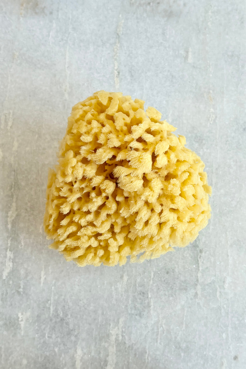 Rise & Rinse Natural Sea Sponge