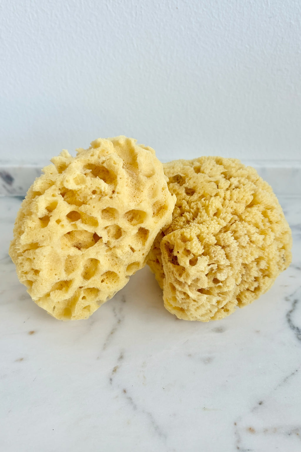 Rise & Rinse Natural Sea Sponge