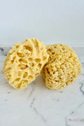 Rise & Rinse Natural Sea Sponge