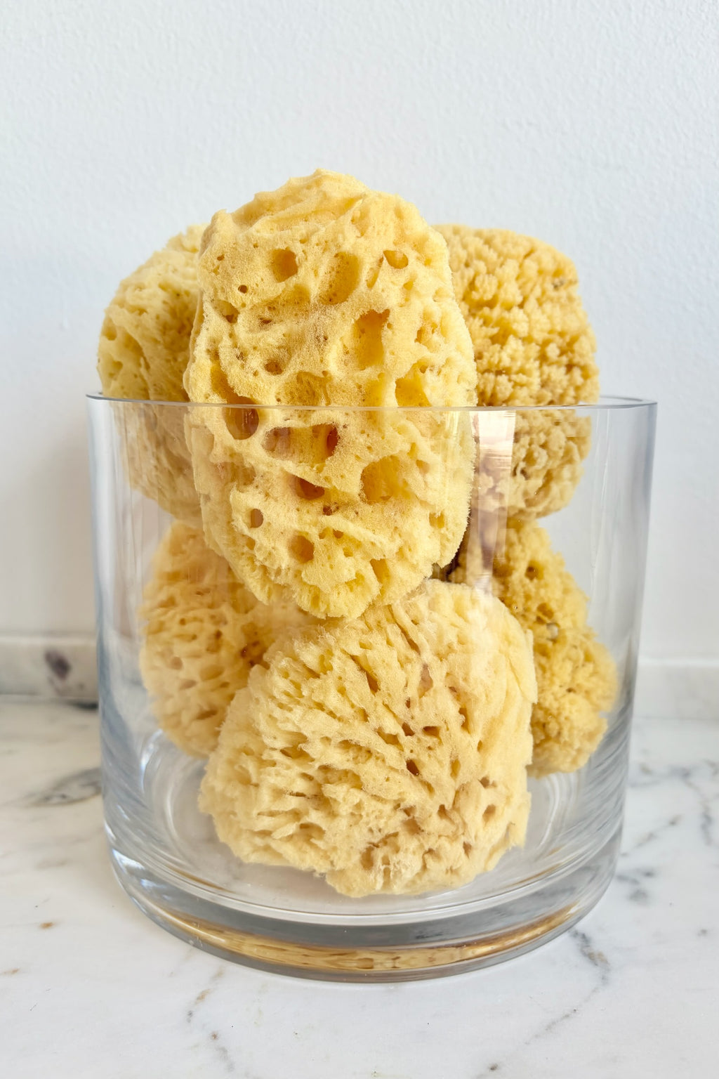 Rise & Rinse Natural Sea Sponge