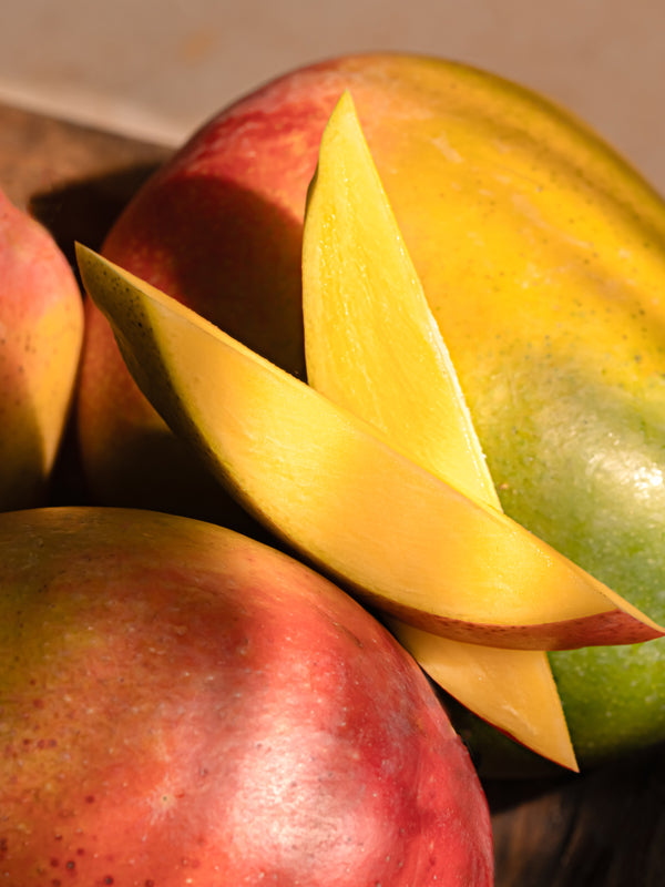 Pura Smart Scent- Clementine Mango