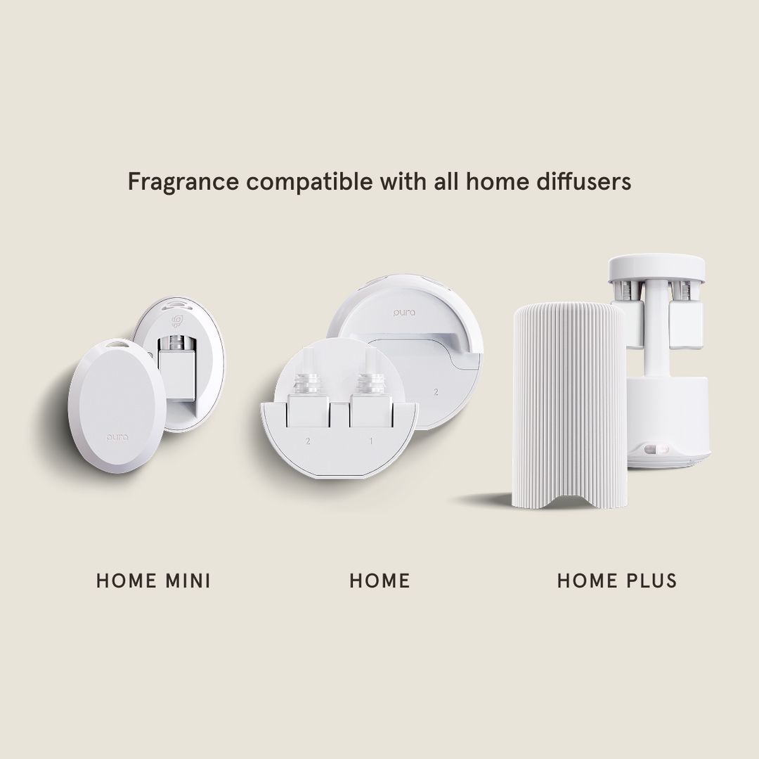 Pura Smart Scent- Coconut Calm