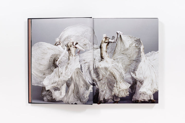 ALEXANDER MCQUEEN-INSIDE THE CREATIVE MIND OF A LEGENDARY FASHION DESIGNER Book