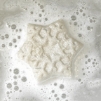 Balsam & Pine Bath Bomb