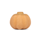Spiced Pumpkin & Amber Bath Bomb