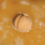 Spiced Pumpkin & Amber Bath Bomb